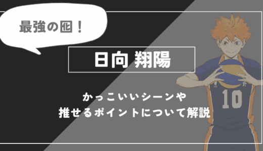 日向 翔陽の魅力！かっこいいシーンや推せるポイントについて解説【ハイキュー!!】